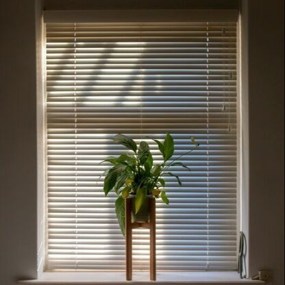 Protection & Ventilation